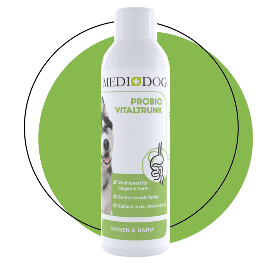 Medidog Probiotic-Vital drink 250ml