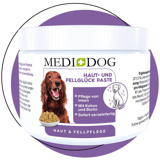 Jar of MediDog skin and coat care paste with a purple label