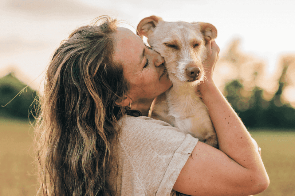 Skin Health & Nutrition — Why Novel Proteins Matter